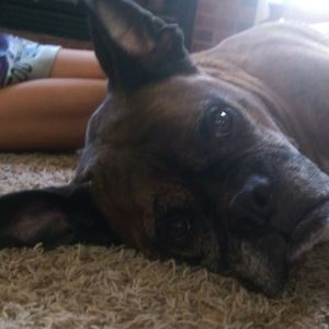 Meet your Posher, Mckaydee